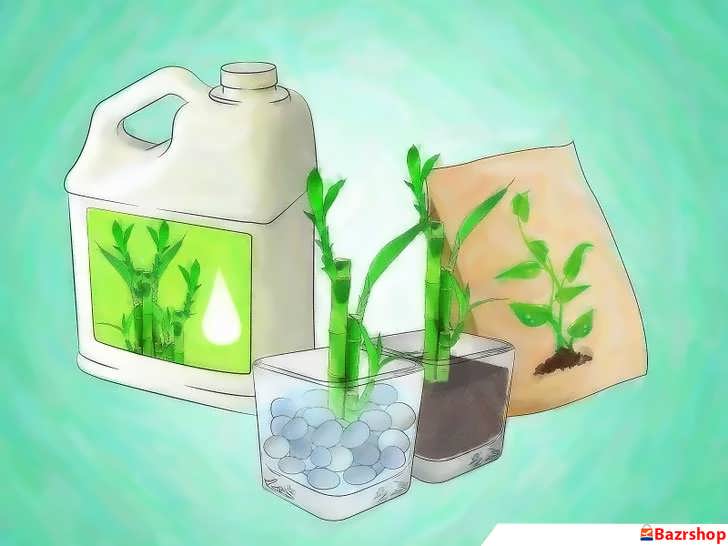 کوددهی بامبو