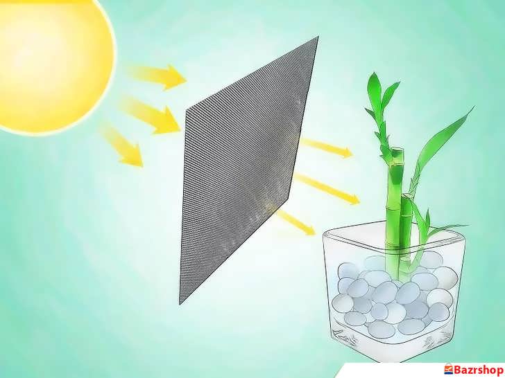 نور فیلترشده برای بامبو خوش شانس