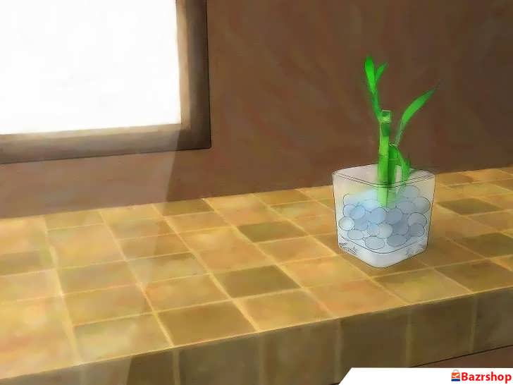 نور غیرمستقیم برای بامبو