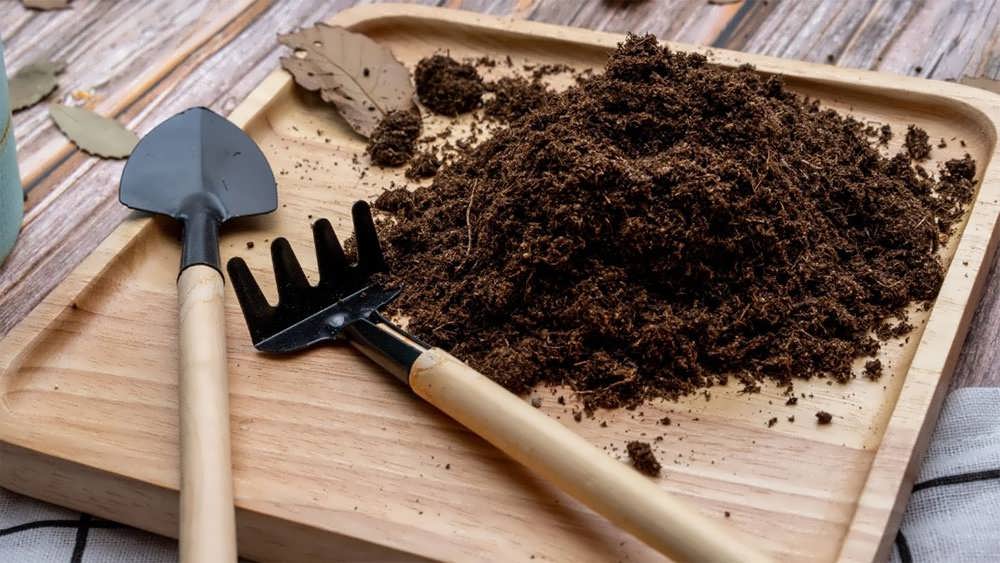 استفاده از پیت ماس در باغ