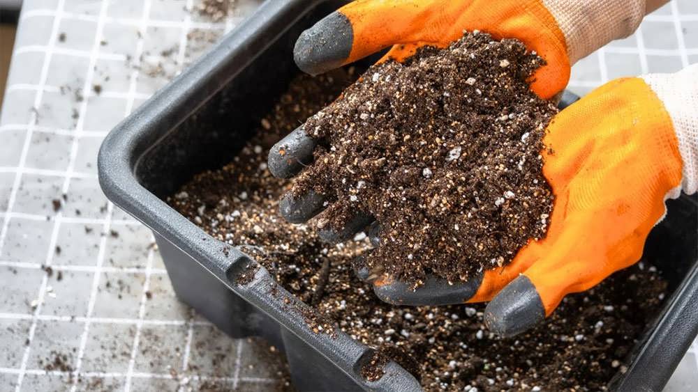 مخلوط کردن پیت ماس