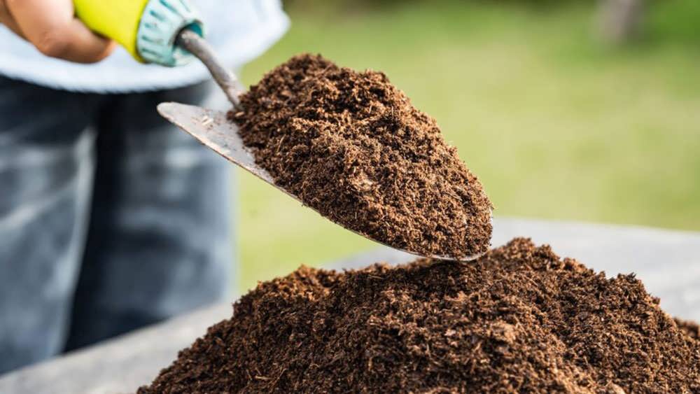 استفاده از پیت ماس