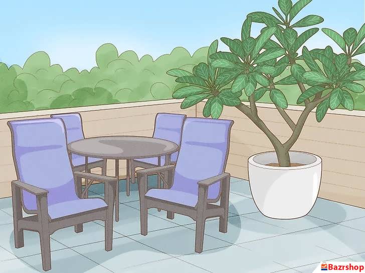 محل قرارگیری پالومریا در پاسیو