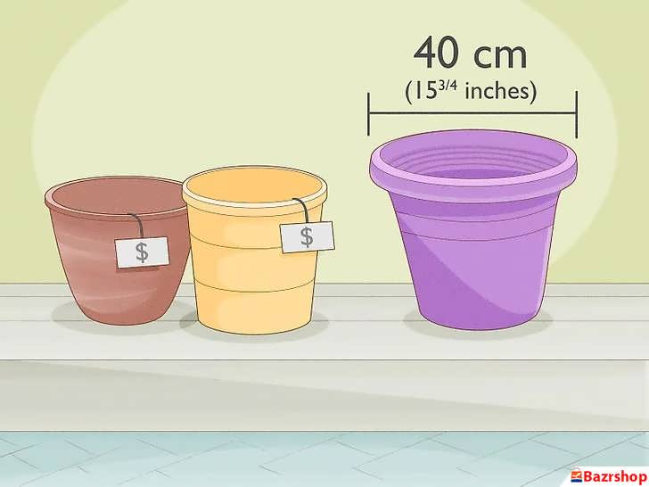 اندازهٔ گلدانِ پالومریا