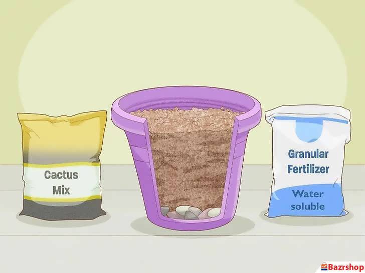 مخلوطِ خاکِ پالومریا