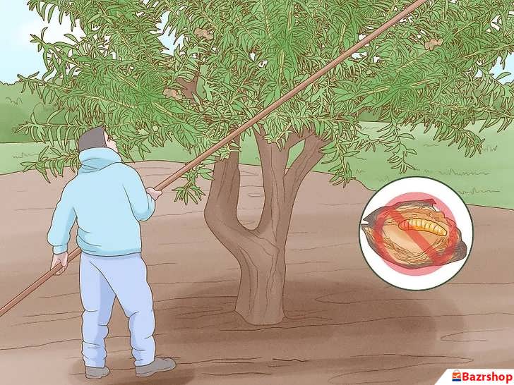 پیشگیری از آفت