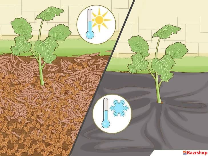 تنظیم دمای خاک