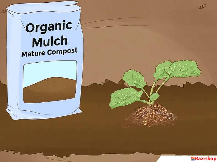 تنظیم دمای خاک