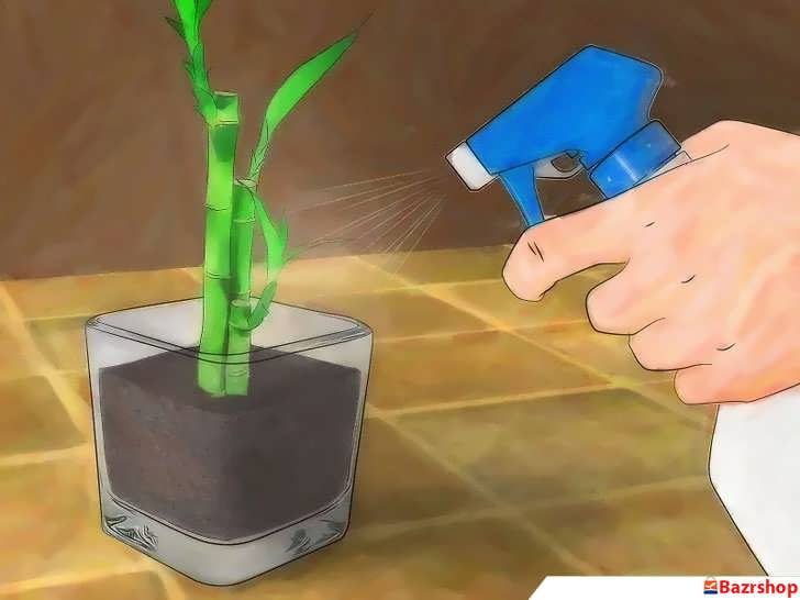 اسپری کردن برگ های بامبو