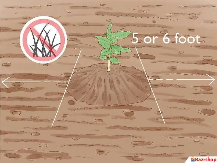 کنترل علف های هرز