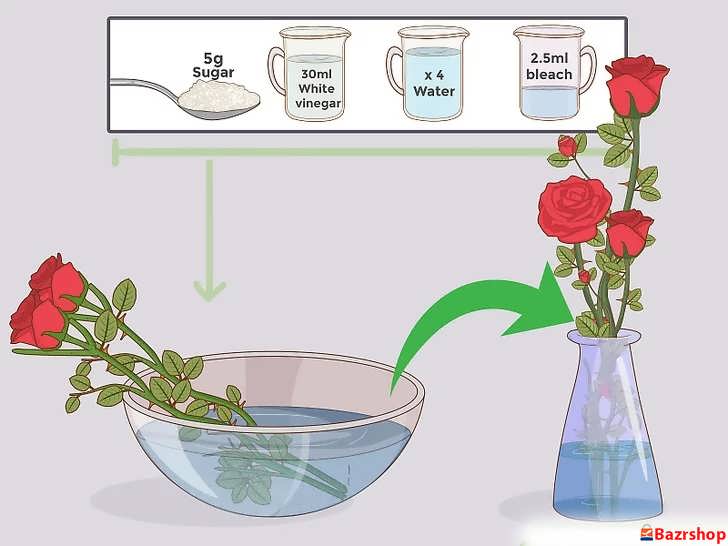 برای افزایش ماندگاری، به آب نگه دارنده گل اضافه کنید