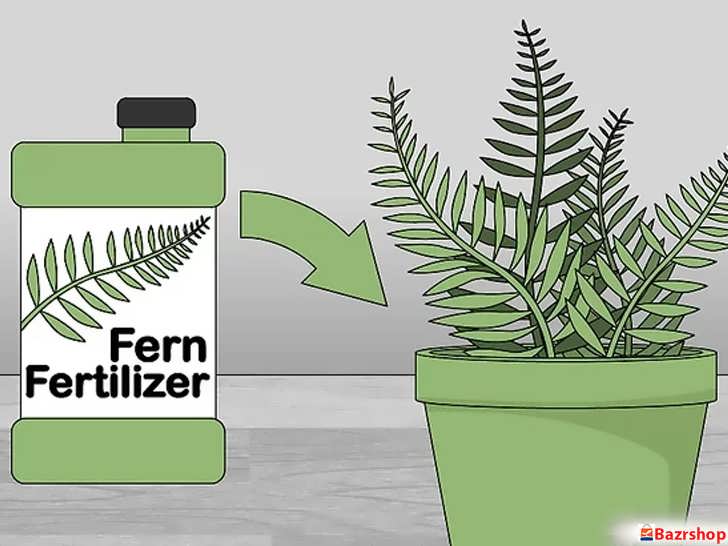 کوددهی منظم