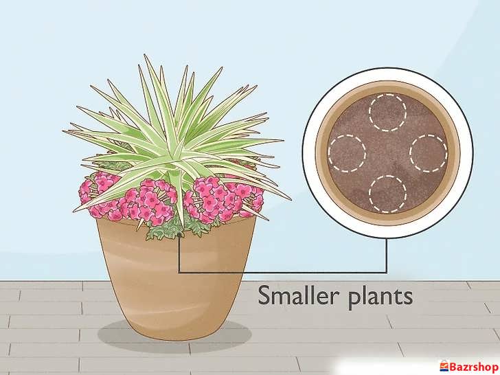 کاشت گیاهان کوچک تر و رونده در لبه ها