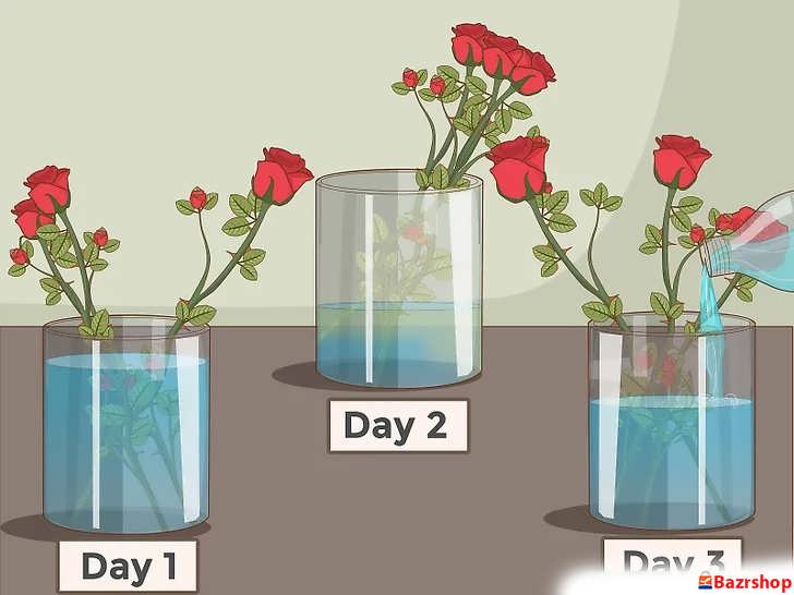 سطح آب را هر روز بررسی کنید و در صورت لزوم آب بیشتری اضافه کنید