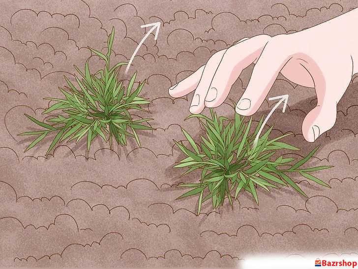 پاک سازی زمین