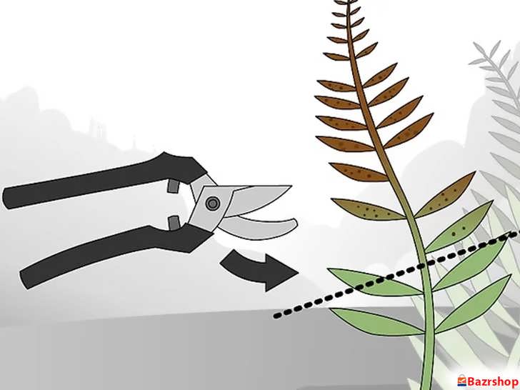 حذف برگ های بیمار