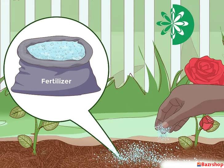 برنامه کوددهی