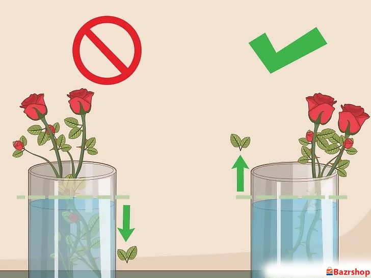 مطمئن شوید که آب عاری از برگ است