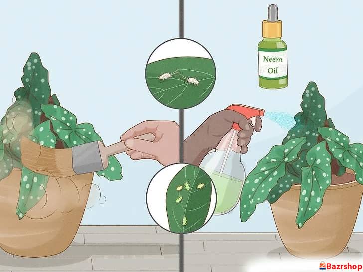 کنترل آفات با روش های مکانیکی و خانگی