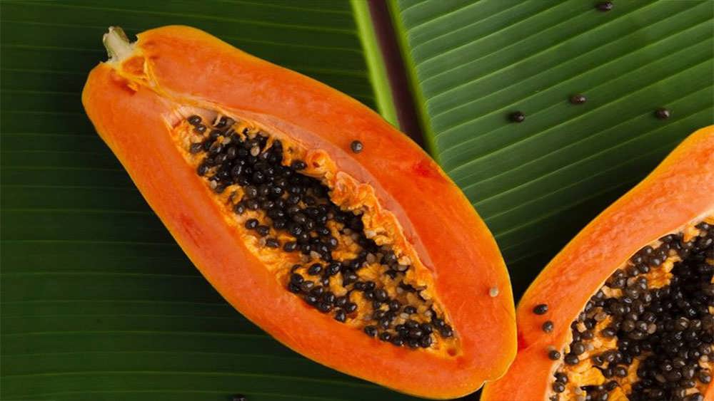 پاپایای مکزیکی