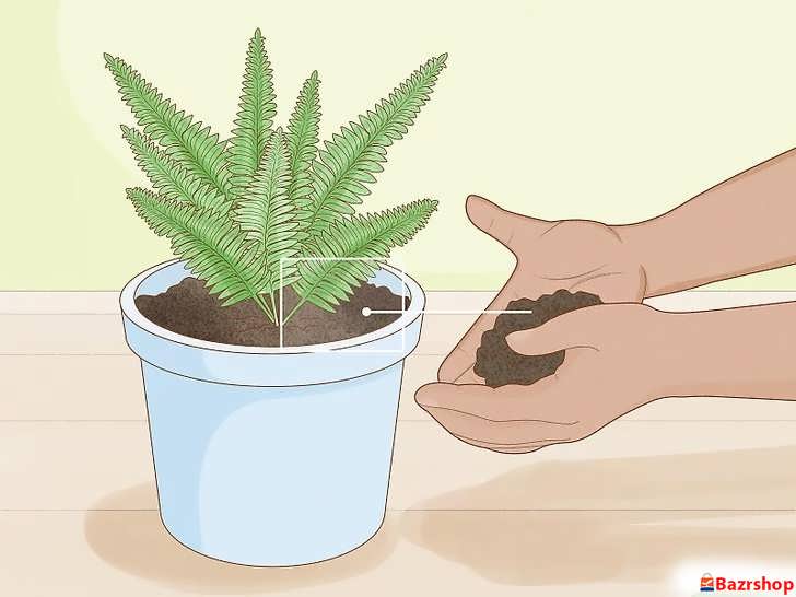 انتخاب خاک و گلدان مناسب