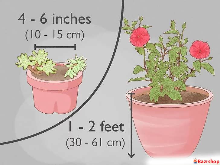 در نظر گرفتن فضای کافی برای رشد ریشه