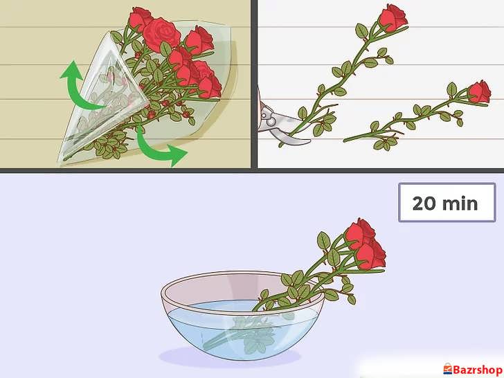 پوشش (لفاف) دور دسته گل را هر چه سریع تر جدا کنید