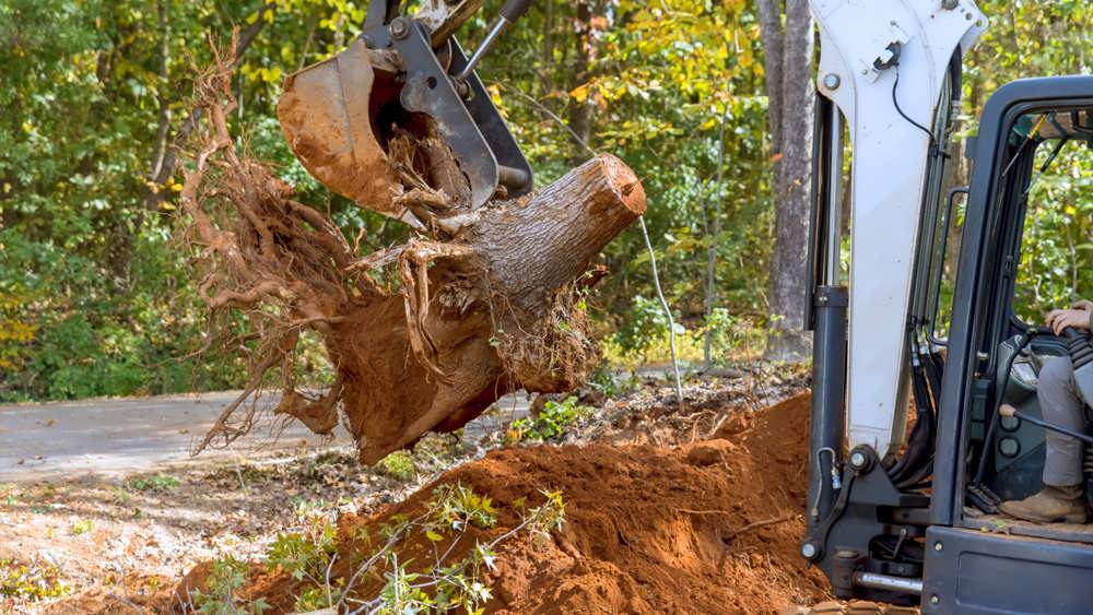 دراوردن ریشه با دستگاه