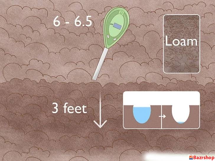 انتخاب محل کاشت