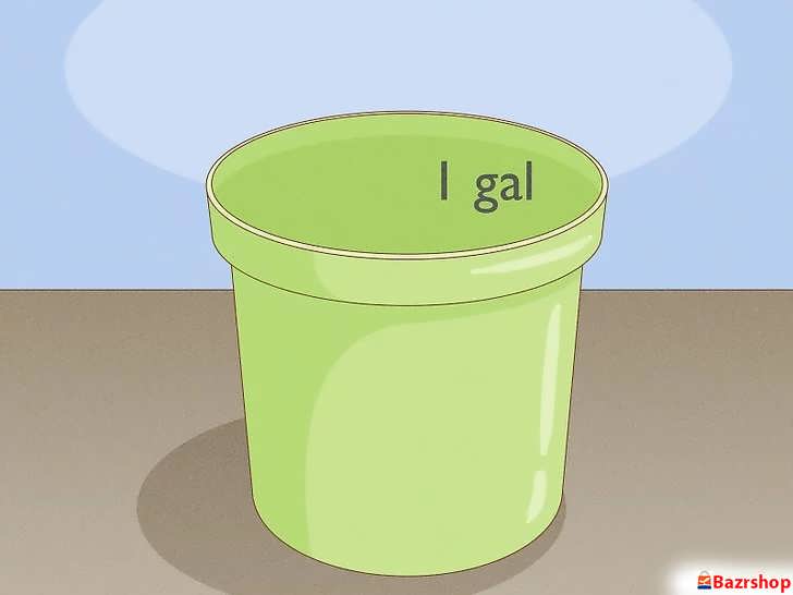 انتخاب گلدان مناسب سایز ۱ گالن (حدود ۴ لیتر) برای کاشت قلمه پلومریا