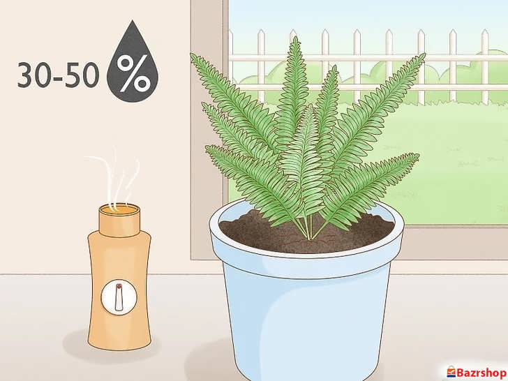 تأمین رطوبت هوا برای سرخس