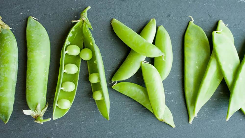 نخود فرنگی برفی