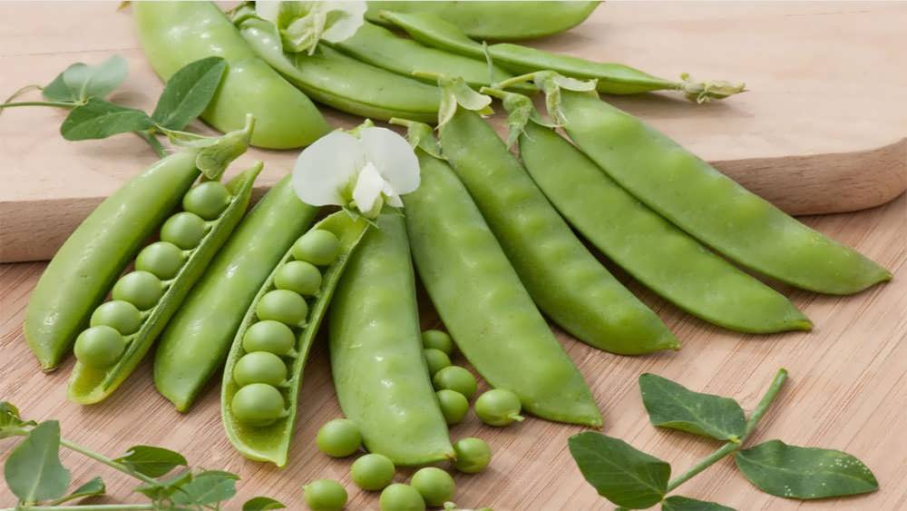 نخود فرنگی شکری