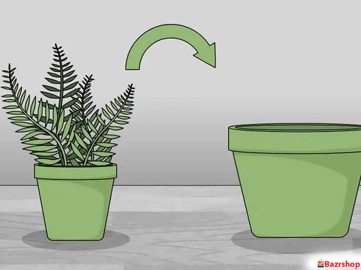 تعویض گلدان