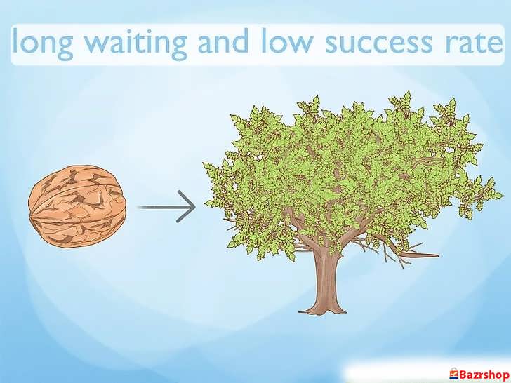 درک میزان تلاش لازم و خطرات احتمالی برای باغ