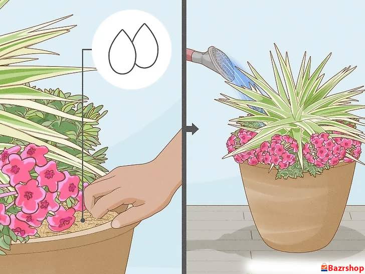 قانون طلایی آبیاری