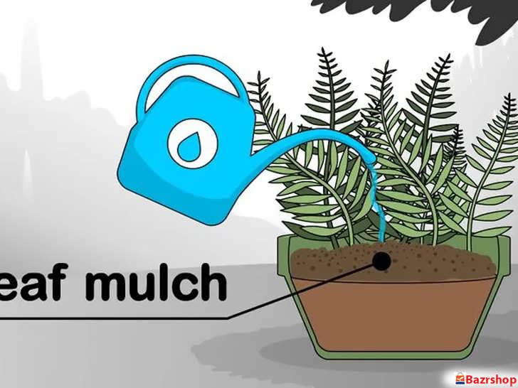 برنامه آبیاری در فضای باز