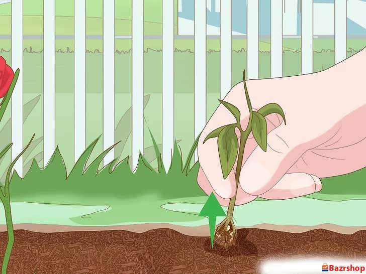 وجین علف های هرز