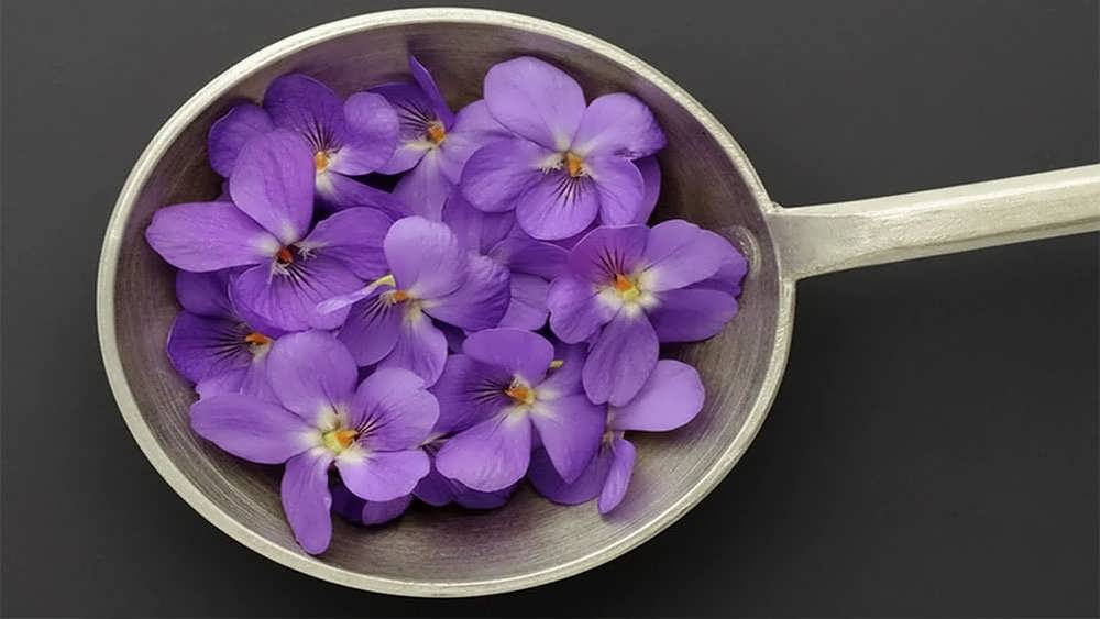 بنفشه معطر وحشی