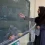 تغییر تحول جدید در نحوه پرداخت حقوق کارکنان و فرهنگیان از این ماه