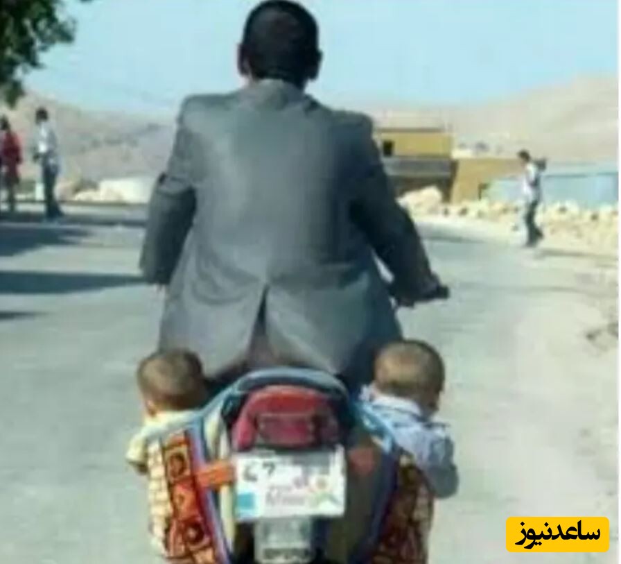حمل دو قلو
