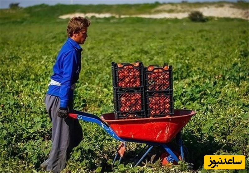 خلاقیت تحسین‌برانگیز و خنده‌دار "کشاورز تبریزی" در تبدیل تایر کهنه به باغی از بهشت حماسه آفرید/خلاق تویی، بقیه اداتو در میارن داداش😂