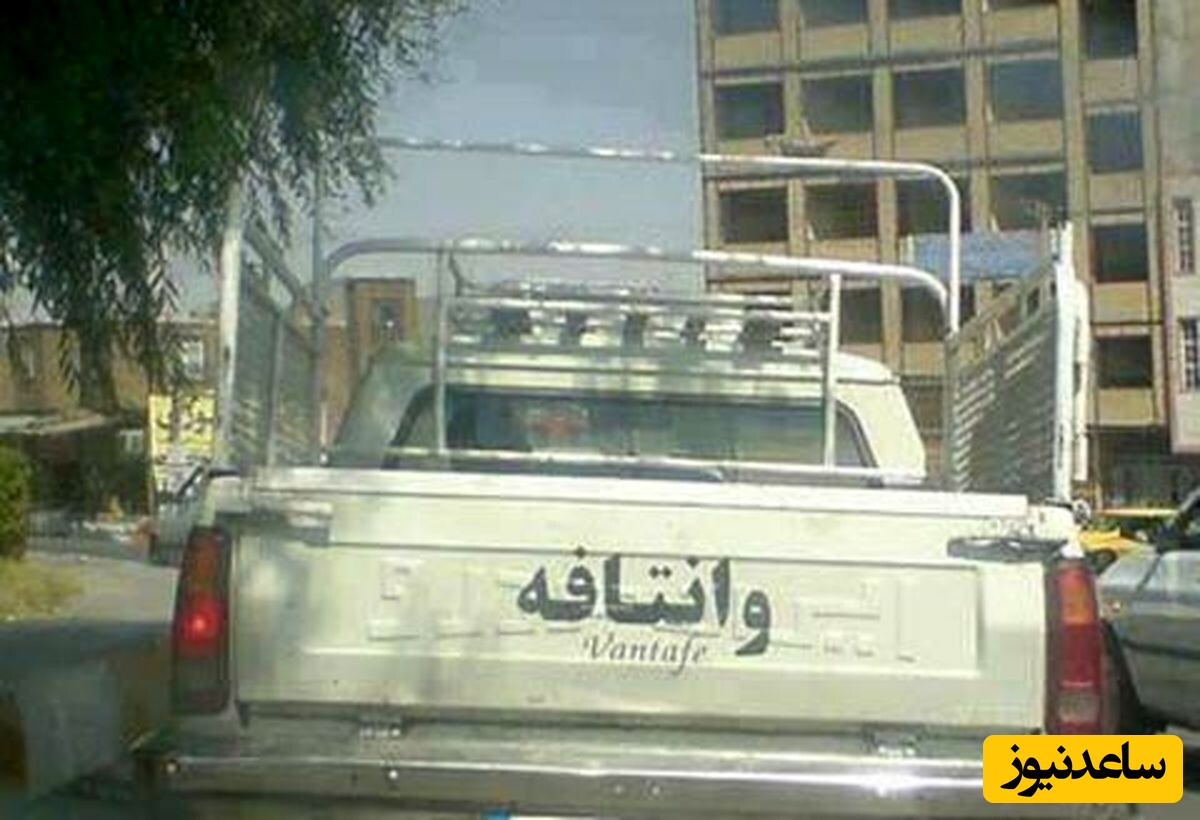 وانت
