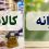 مبلغ کالابرگ الکترونیکی برای هر نفر چقدر است؟ / اعتبار کالابرگ الکترونیکی دهک‌های مختلف چطور محاسبه می‌شود؟