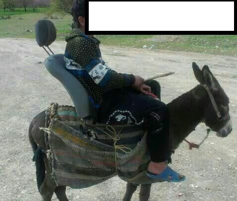  خرسواری